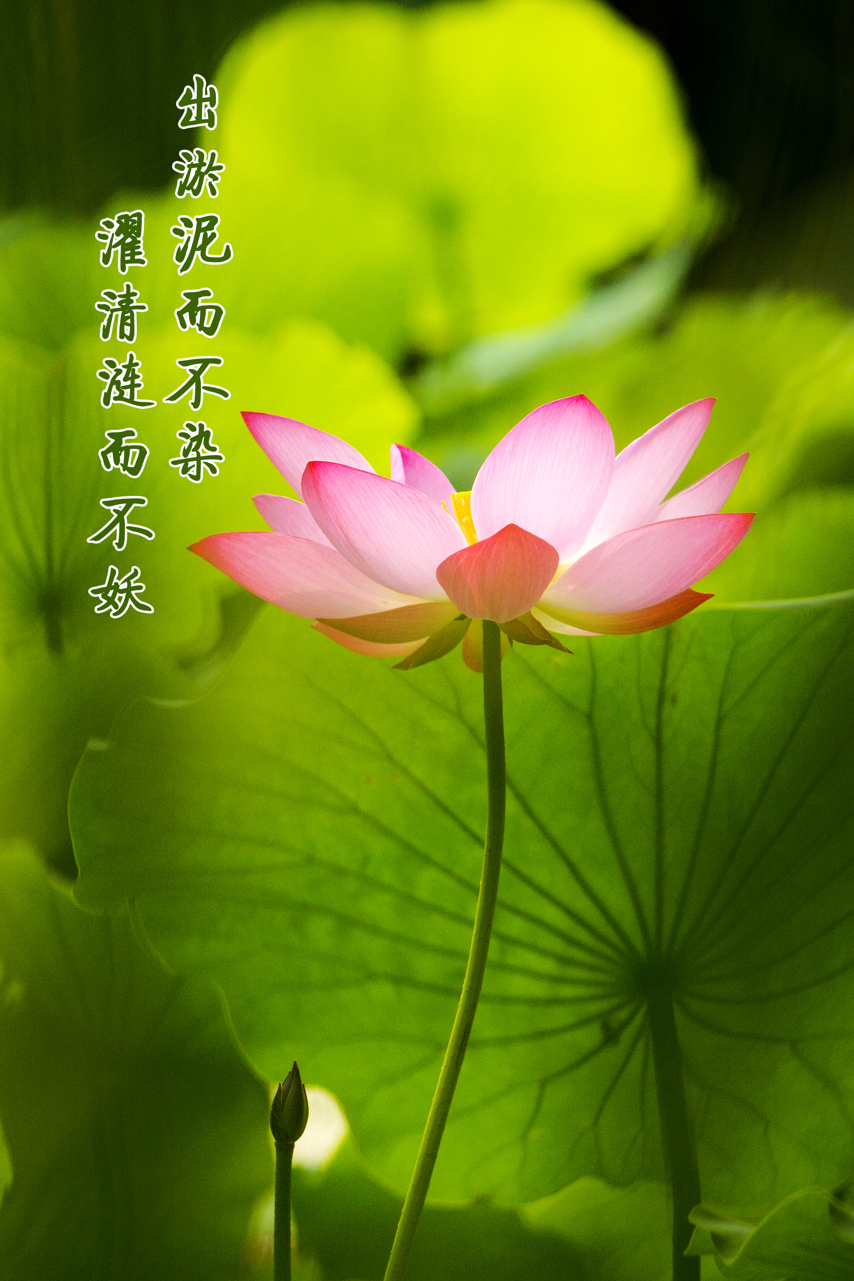 ʱǲZ6(й)ҳ